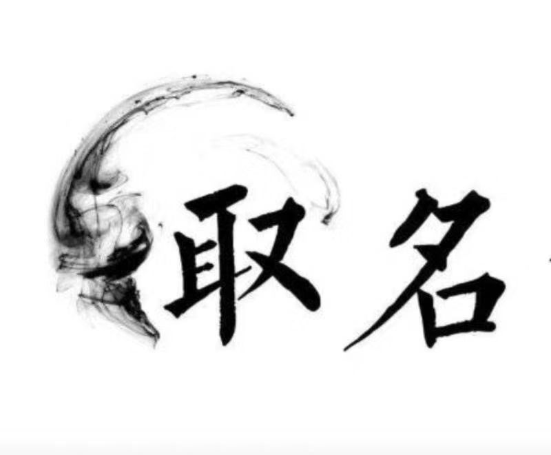  武川宝宝取名 大师一对一人工起名