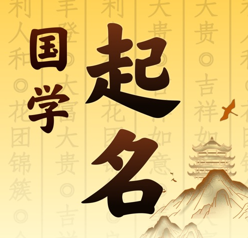 武川国学起名 人工起名一对一